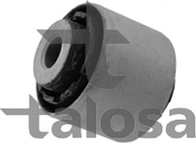 Talosa 64-09028 - Підвіска, корпус колісного підшипника avtolavka.club