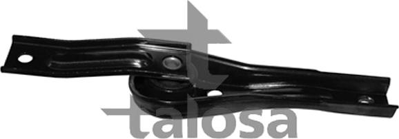 Talosa 61-11735 - Подушка, підвіска двигуна avtolavka.club
