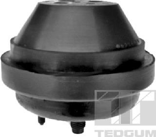 Tedgum 00234090 - Подушка, підвіска двигуна avtolavka.club