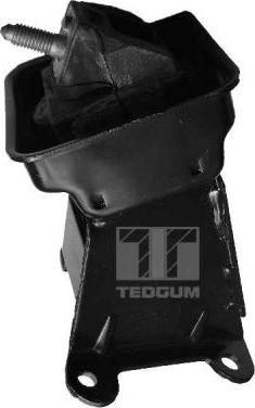 Tedgum 00223065 - Подушка, підвіска двигуна avtolavka.club