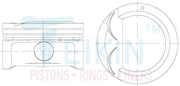 Teikin 51149.STD - Поршень avtolavka.club