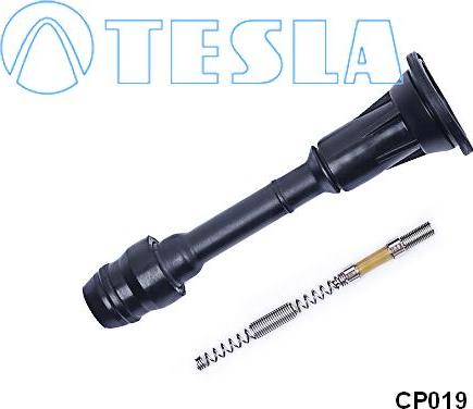 TESLA CP019 - Вилка, свічка запалювання avtolavka.club