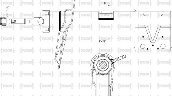 TOOR SG11391 - Амортизатор avtolavka.club