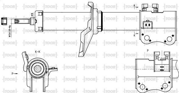 TOOR SG11721 - Амортизатор avtolavka.club