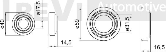 Trevi Automotive WB1960 - Комплект підшипника маточини колеса avtolavka.club