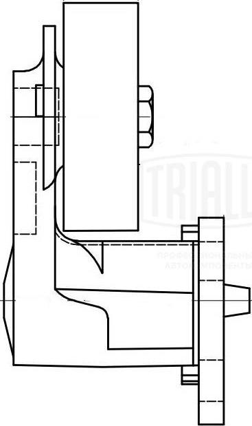 Trialli CM 5106 - Паразитний / провідний ролик, поліклиновий ремінь avtolavka.club