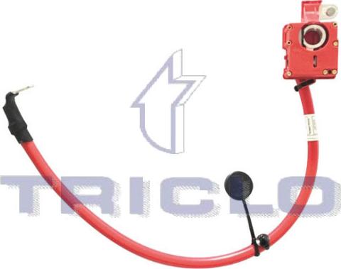 Triclo 972484 - Полюсними виводами акумуляторної батареї avtolavka.club
