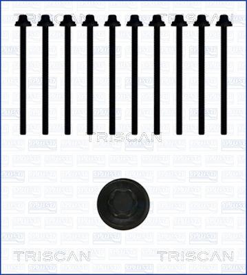 Triscan 98-5012 - Комплект болтів головки циліндрів avtolavka.club