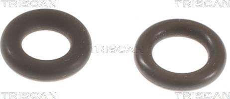 Triscan 596-1003 - Комплект прокладок, форсунка avtolavka.club