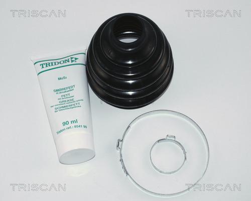 Triscan 8540 16802 - Пильник, приводний вал avtolavka.club