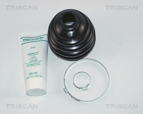 Triscan 8540 24805 - Пильник, приводний вал avtolavka.club