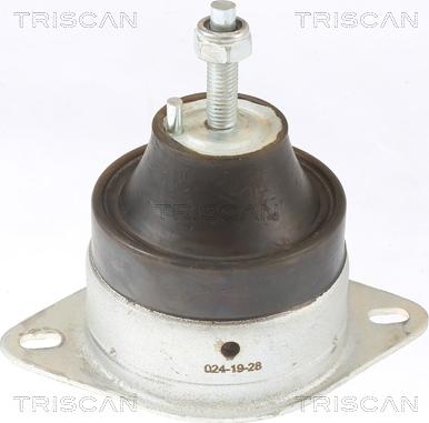 Triscan 8505 10119 - Подушка, підвіска двигуна avtolavka.club