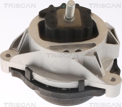 Triscan 8505 11109 - Подушка, підвіска двигуна avtolavka.club