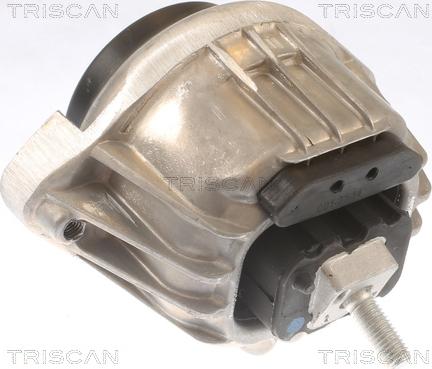 Triscan 8505 11105 - Подушка, підвіска двигуна avtolavka.club