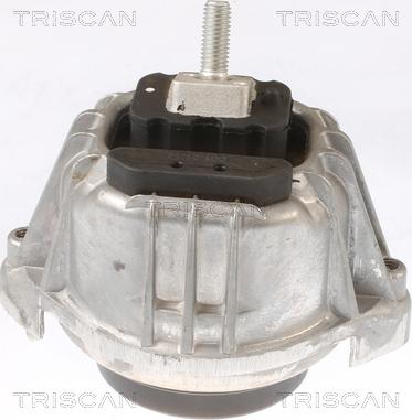Triscan 8505 11103 - Подушка, підвіска двигуна avtolavka.club