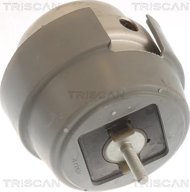 Triscan 8505 29169 - Подушка, підвіска двигуна avtolavka.club