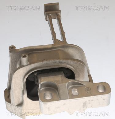 Triscan 8505 29164 - Подушка, підвіска двигуна avtolavka.club