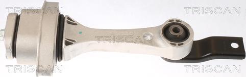 Triscan 8505 29100 - Подушка, підвіска двигуна avtolavka.club