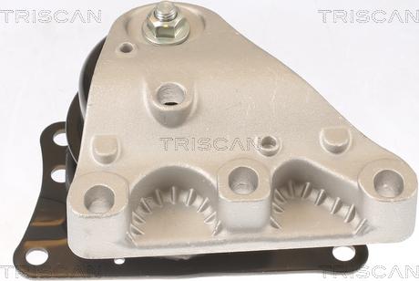 Triscan 8505 29110 - Подушка, підвіска двигуна avtolavka.club