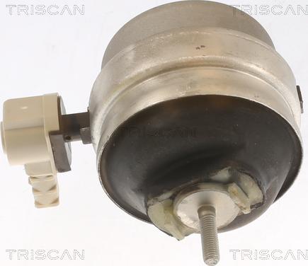 Triscan 8505 29111 - Подушка, підвіска двигуна avtolavka.club