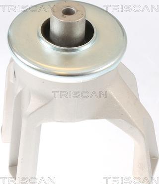 Triscan 8505 29187 - Подушка, підвіска двигуна avtolavka.club