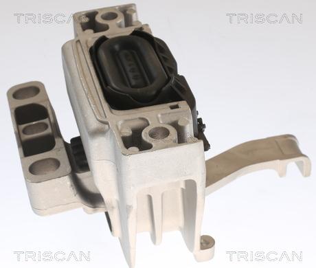 Triscan 8505 29129 - Подушка, підвіска двигуна avtolavka.club