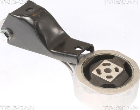 Triscan 8505 29120 - Подушка, підвіска двигуна avtolavka.club