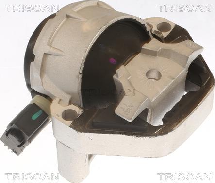 Triscan 8505 29170 - Подушка, підвіска двигуна avtolavka.club