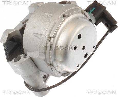 Triscan 8505 29171 - Подушка, підвіска двигуна avtolavka.club