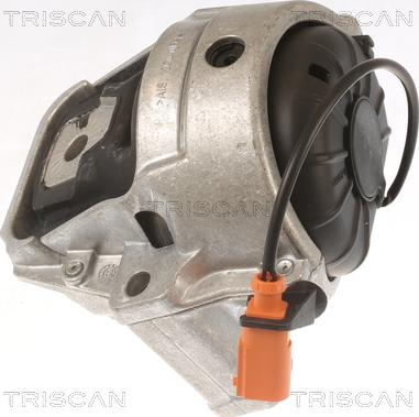 Triscan 8505 29178 - Подушка, підвіска двигуна avtolavka.club