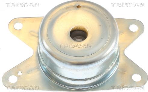Triscan 8505 24105 - Подушка, підвіска двигуна avtolavka.club