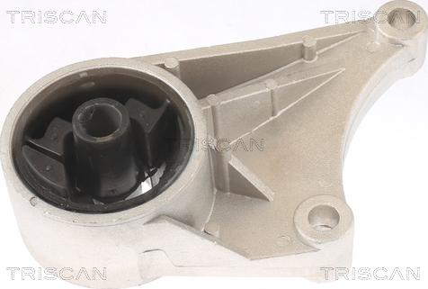Triscan 8505 24102 - Подушка, підвіска двигуна avtolavka.club
