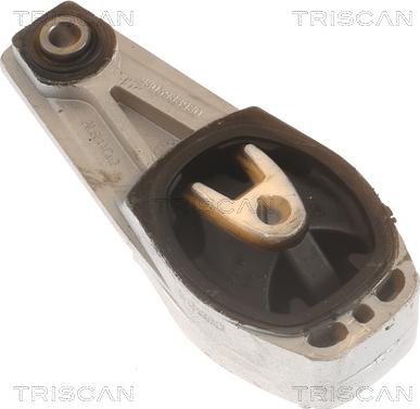 Triscan 8505 28102 - Подушка, підвіска двигуна avtolavka.club