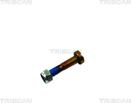 Triscan 8500 16861 - Монтажний комплект, важіль незалежної підвіски колеса avtolavka.club
