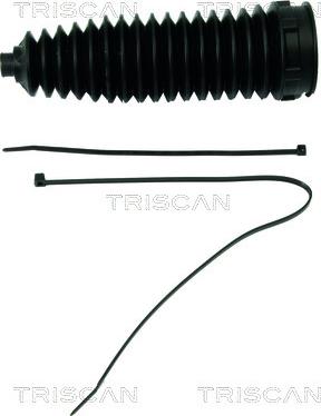 Triscan 8500 10016 - Комплект пилника, рульове управління avtolavka.club