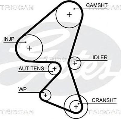 Triscan 8645 5657xs - Ремінь ГРМ avtolavka.club