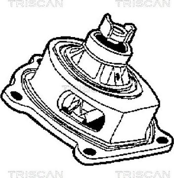 Triscan 8600 17003 - Водяний насос avtolavka.club