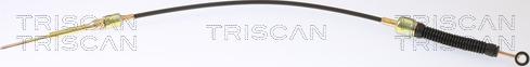 Triscan 8140 29761 - Трос, автоматична коробка передач avtolavka.club