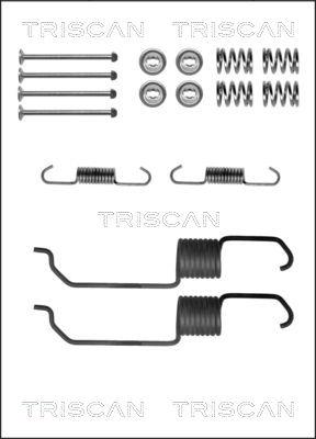 Triscan 8105 502560 - Комплектуючі, барабанний гальмівний механізм avtolavka.club