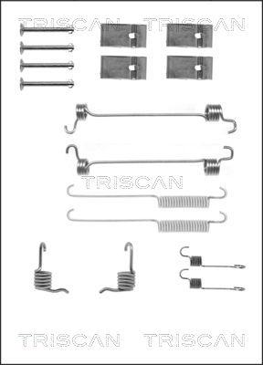 Triscan 8105 162545 - Комплектуючі, барабанний гальмівний механізм avtolavka.club