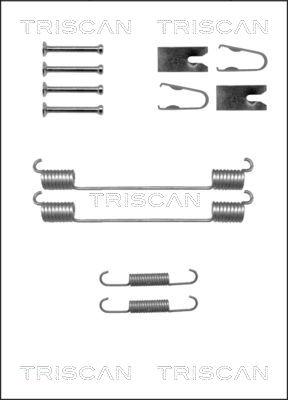 Triscan 8105 102612 - Комплектуючі, барабанний гальмівний механізм avtolavka.club