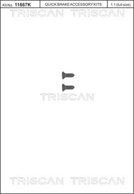Triscan 8105 116008 - Комплект болтів, гальмівний диск avtolavka.club