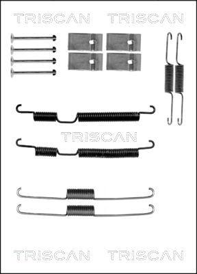 Triscan 8105 182008 - Комплектуючі, барабанний гальмівний механізм avtolavka.club