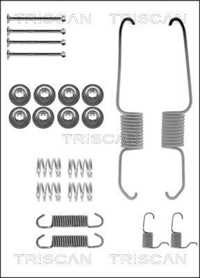 Triscan 8105 132584 - Комплектуючі, барабанний гальмівний механізм avtolavka.club