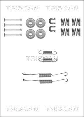 Triscan 8105 132587 - Комплектуючі, барабанний гальмівний механізм avtolavka.club