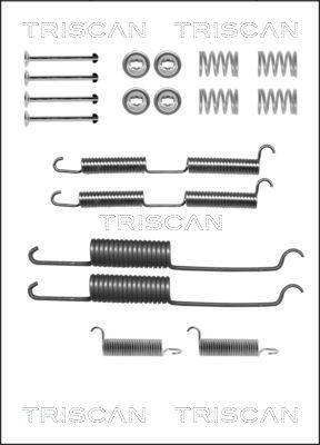 Triscan 8105 252569 - Комплектуючі, барабанний гальмівний механізм avtolavka.club