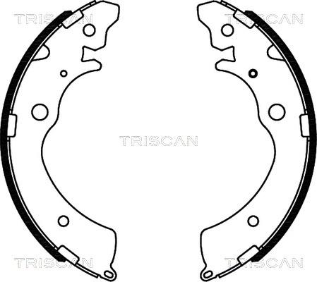 Triscan 8100 40508 - Комплект гальм, барабанний механізм avtolavka.club