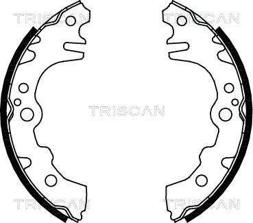 Triscan 8100 41619 - Комплект гальм, барабанний механізм avtolavka.club