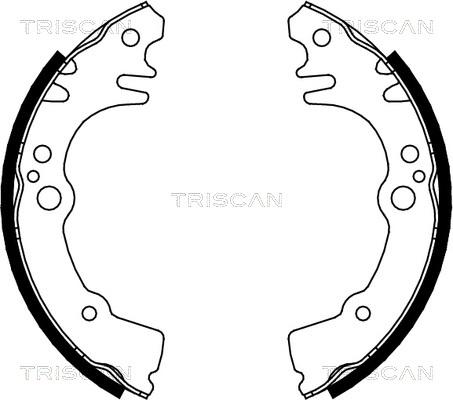 Triscan 8100 41616 - Комплект гальм, барабанний механізм avtolavka.club