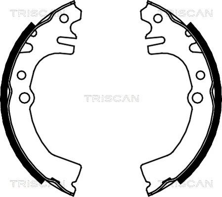 Triscan 8100 41613 - Комплект гальм, барабанний механізм avtolavka.club
